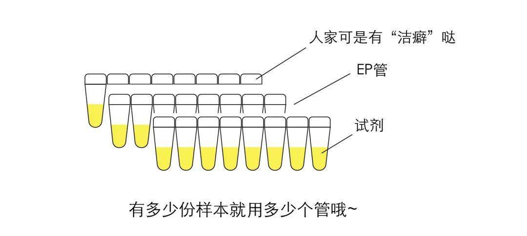 检测|核酸的检测有多麻烦？看完我都不好意思催结果了