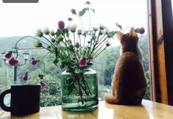 好评超高的8个微信号，值得你浪费时光！