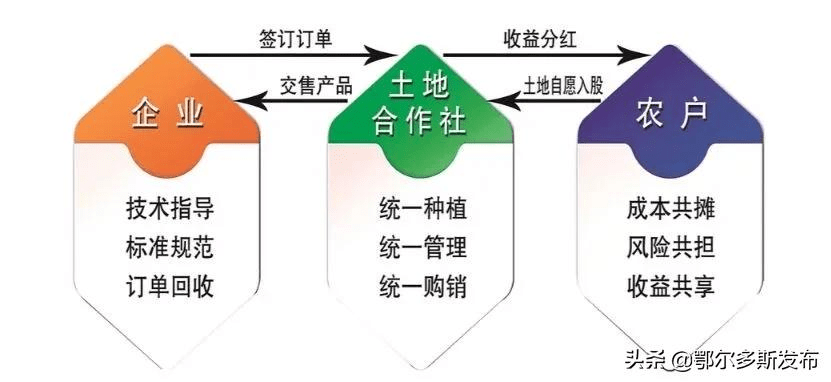 450e7dba74794f98ae4c20698daf8c49.png