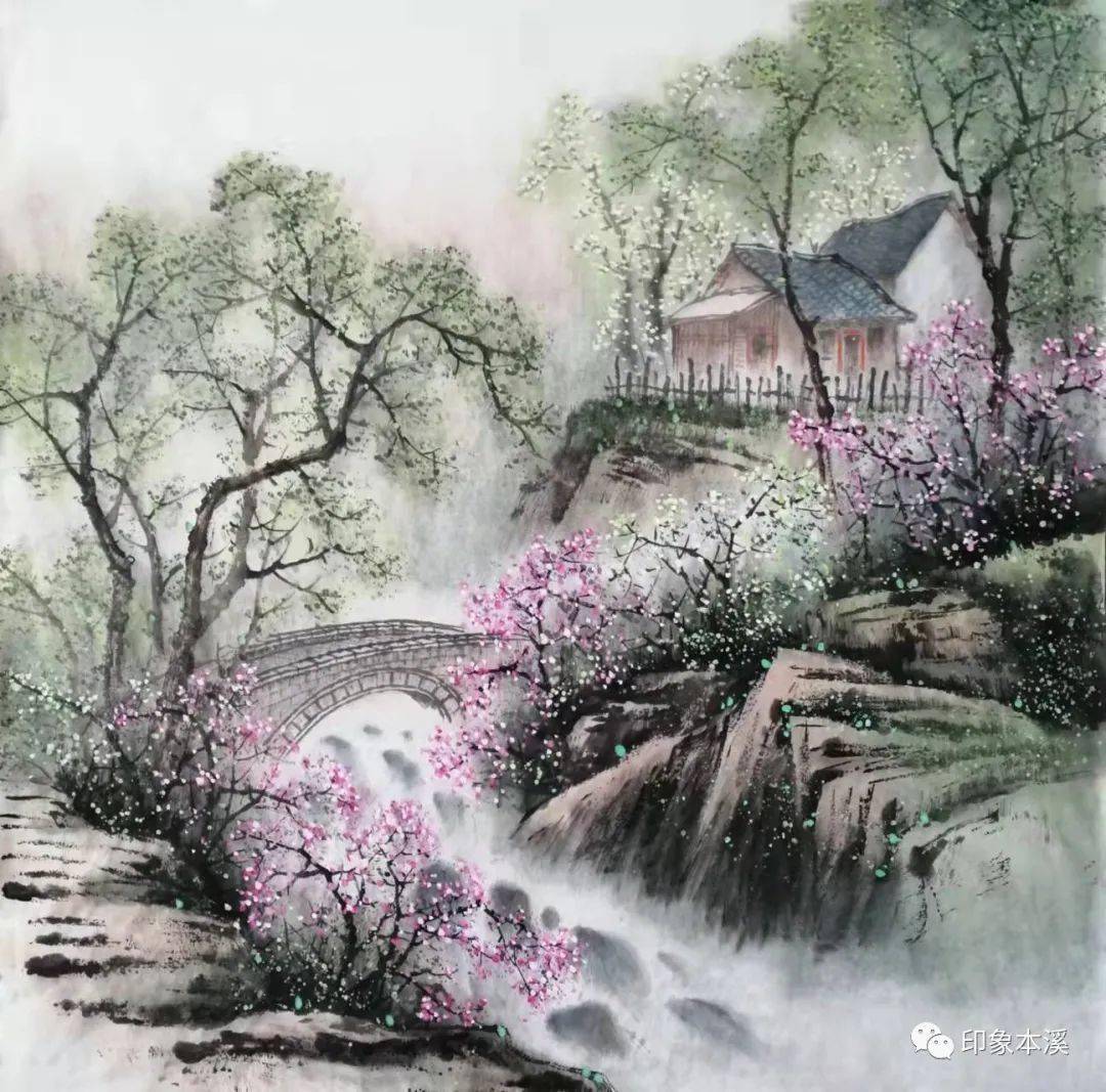 老屋门前的黄杏树