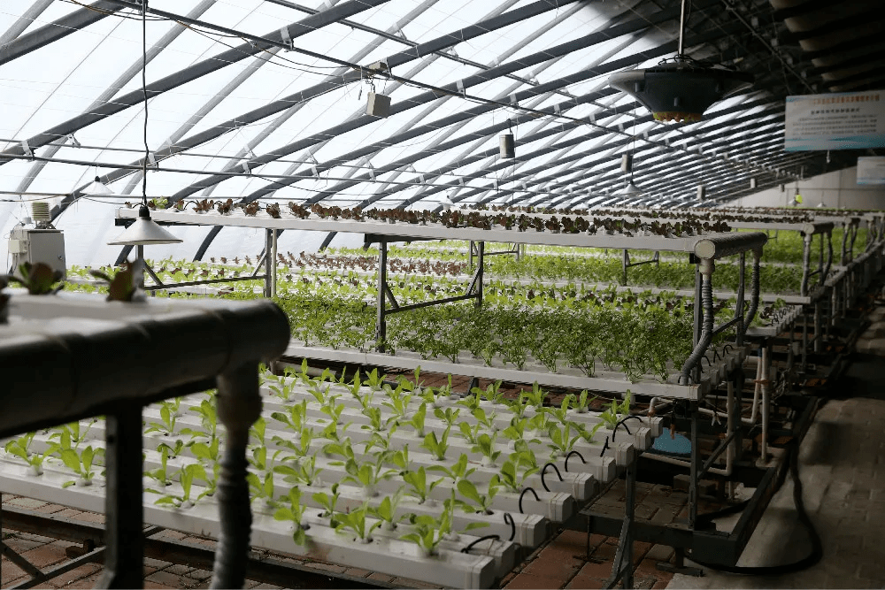 双层保温被 b2e458f4d3174b8485d1caf67353ee23.png