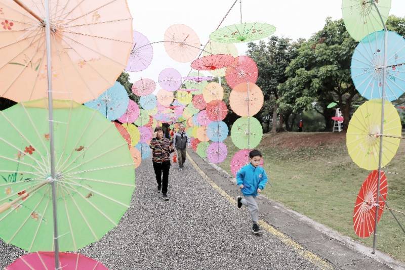 非遗|湿地“观鸟”、体验非遗……新春来南沙过一个有仪式感的假期