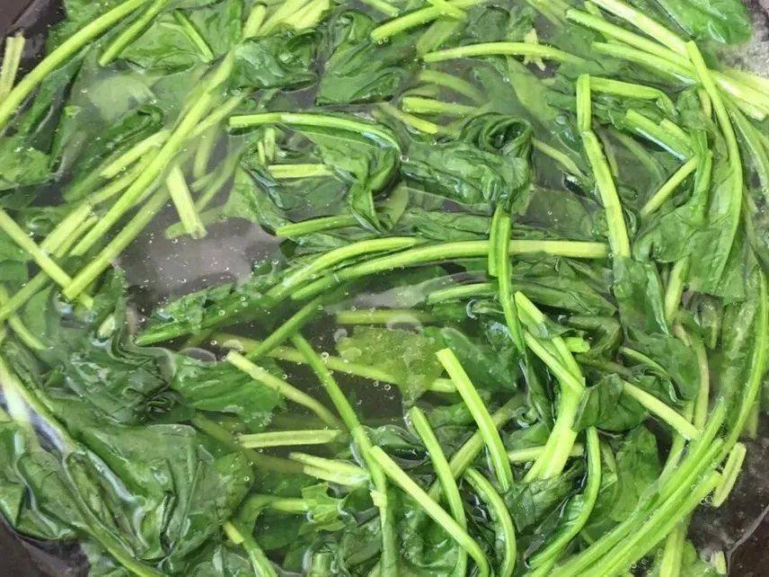 香菜|年夜饭之凉菜篇,兼具颜值与味道~