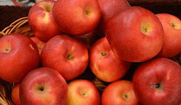 苹果|苹果何时吃更健康？实验揭示：这个时段吃有利控血糖