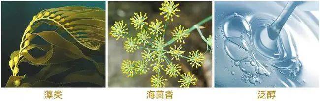 藻类毛戈平这面霜牛哇!把我垮掉的脸,兜回来了?