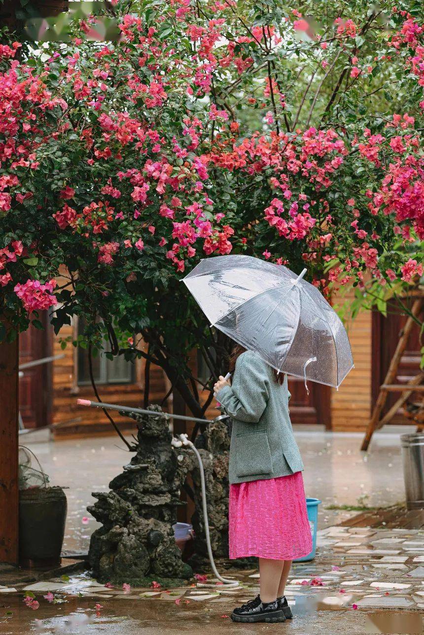 上岛|大年初一，一起去看海吧