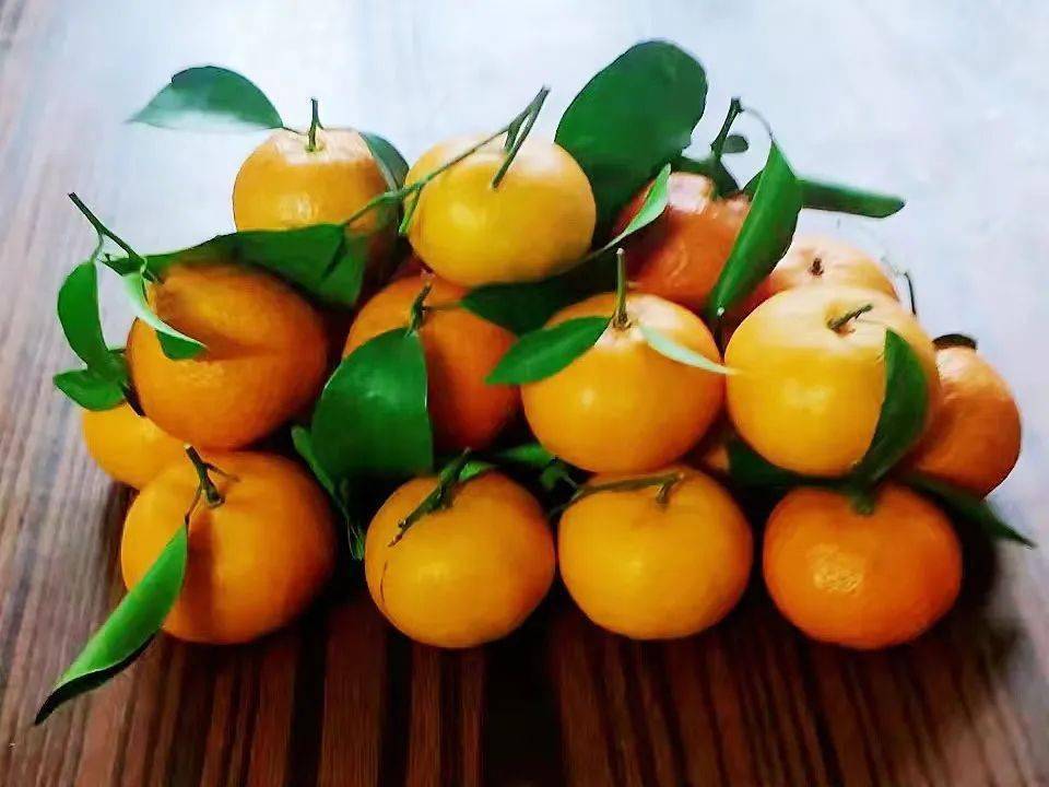 年初二拜年喽厚街人有这些习俗