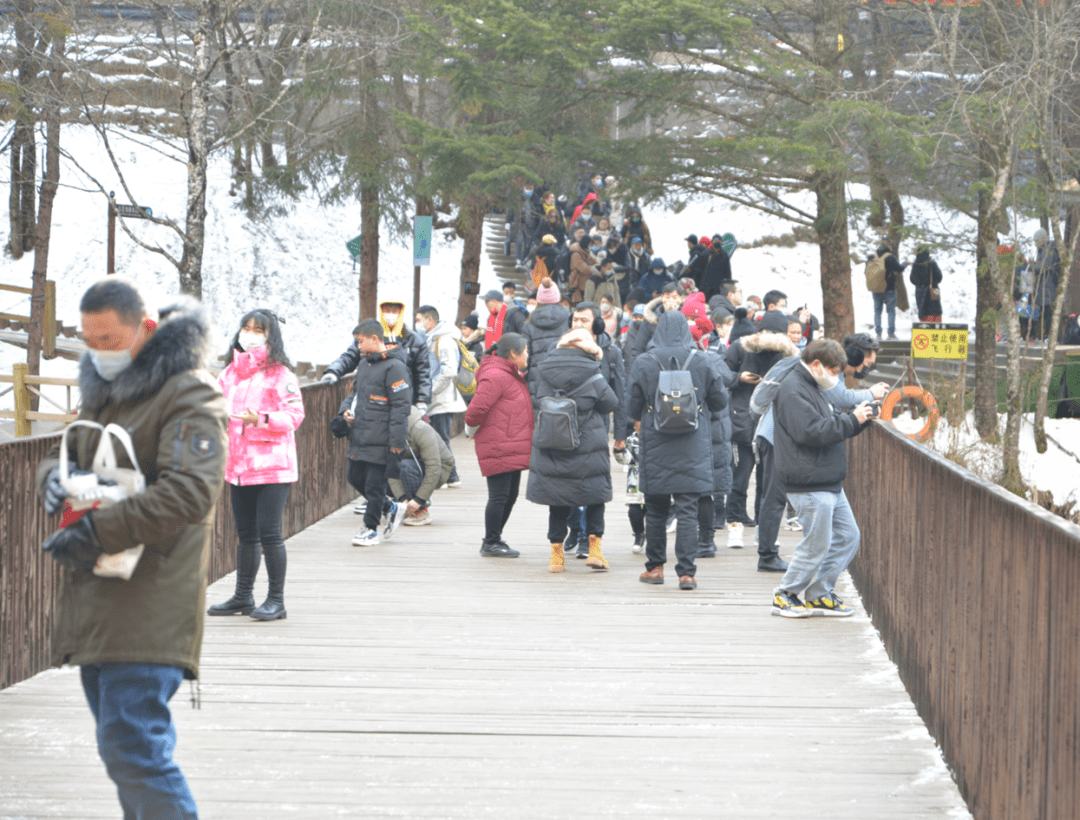 九寨沟|春节游九寨 开启虎年新旅程