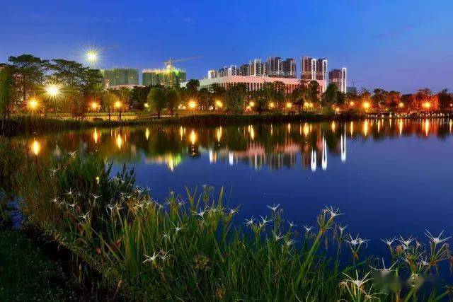 滨荷park灯光秀美的鹭湖浪漫夜景在高明解锁夜游新玩法旅游线路
