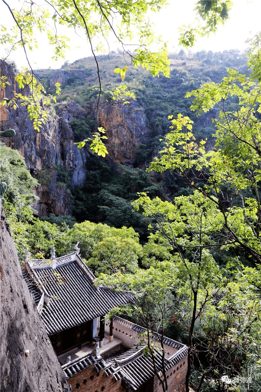 春节假期,咱弥渡有这些好去处!_大寺_赤口_小河