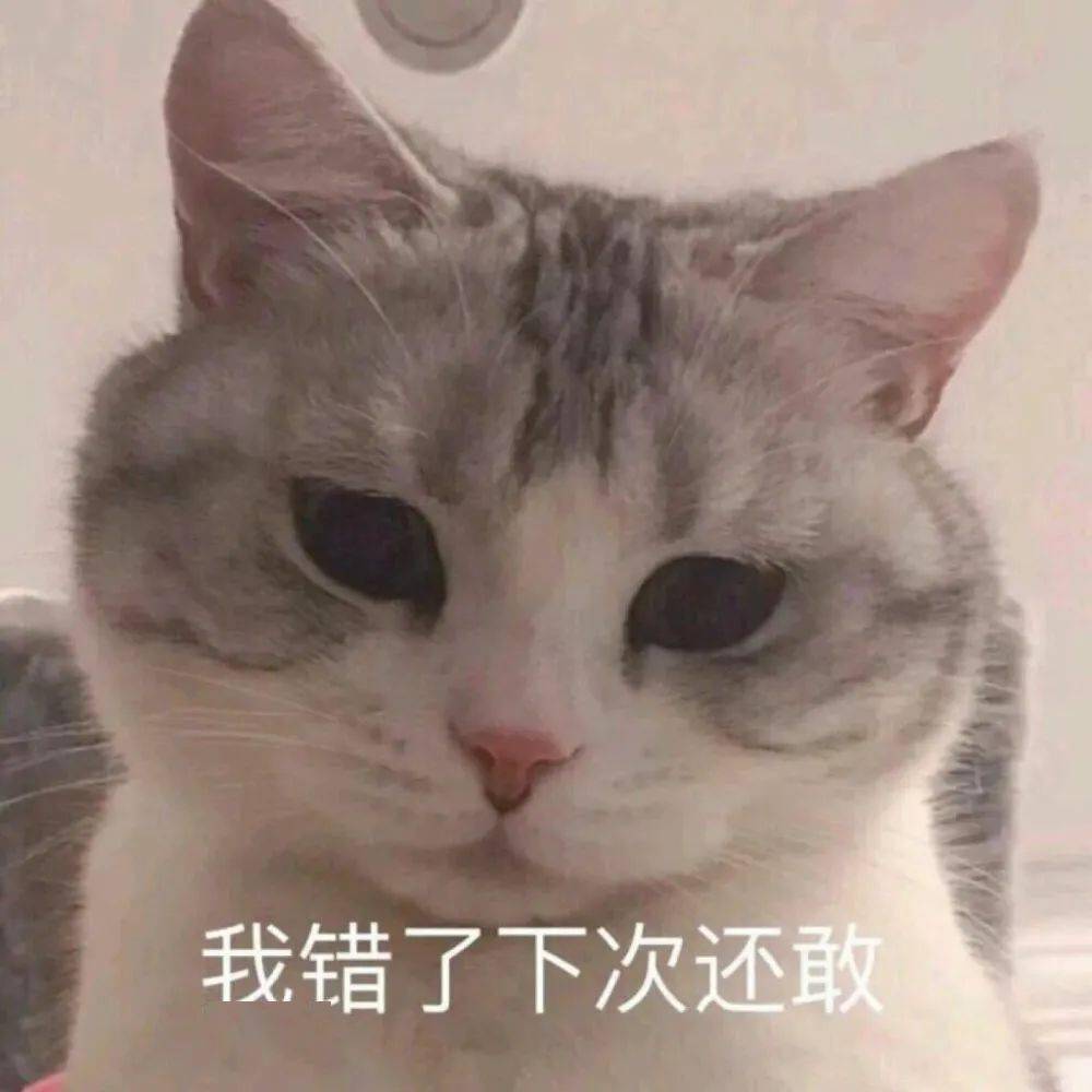 827666906e724953a16833d8b061c68b.jpeg