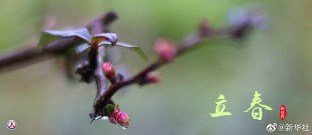 更迭,春色,二十四节气|明日立春！一起欣赏春色有多美