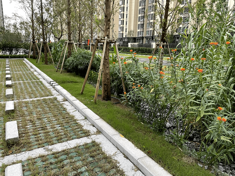 丛林之下,萤来美好|2021江苏旭辉社区海绵实践分享_自然_栖园_景观
