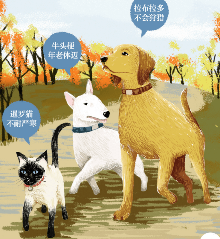 b3632bdd1bbb4fcc88aa0317eb6f6b01.png