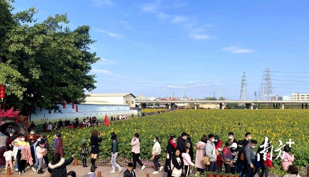 值得一提的是,春节期间到山厦公园,半仙山古建筑群,村头葵香园等地