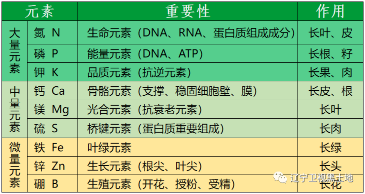 超级实用