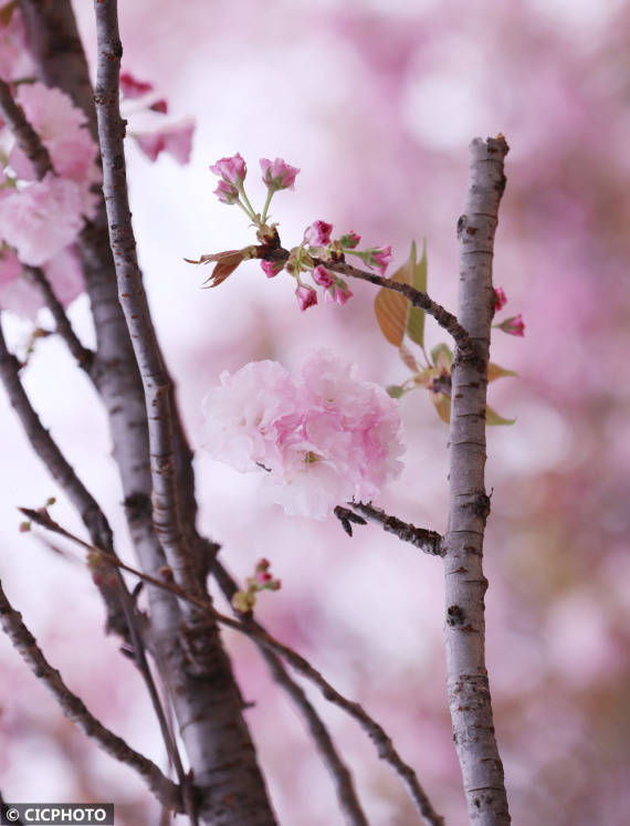 何红|湖南道县：乐享春节假日