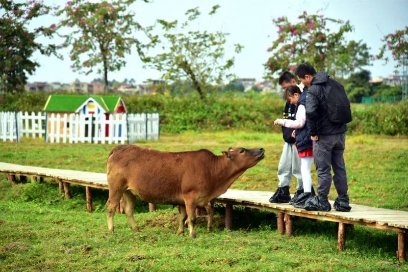 广州|感受广式年味！广州春节假期旅游业总收入近55亿元