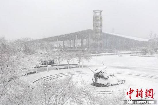 牛首山|南京山中雪如花若画