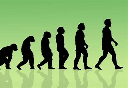 特征|AP生物：关于进化论你不得不知道的二三事...
