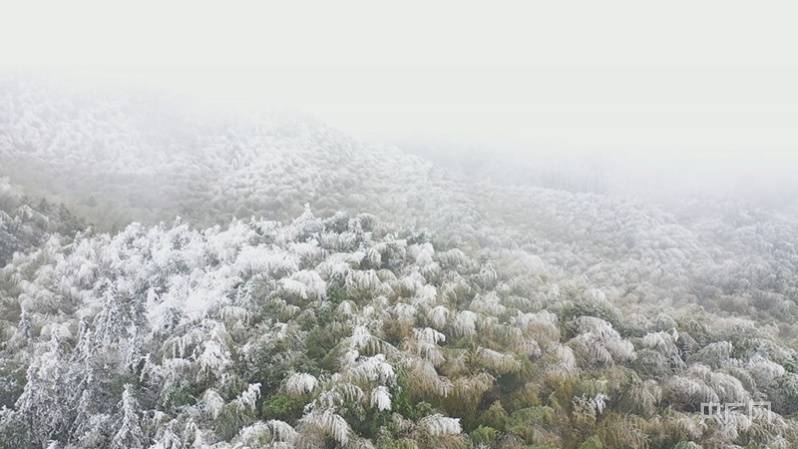 雾凇|航拍赣鄱|雾凇美景！如诗如画醉游人