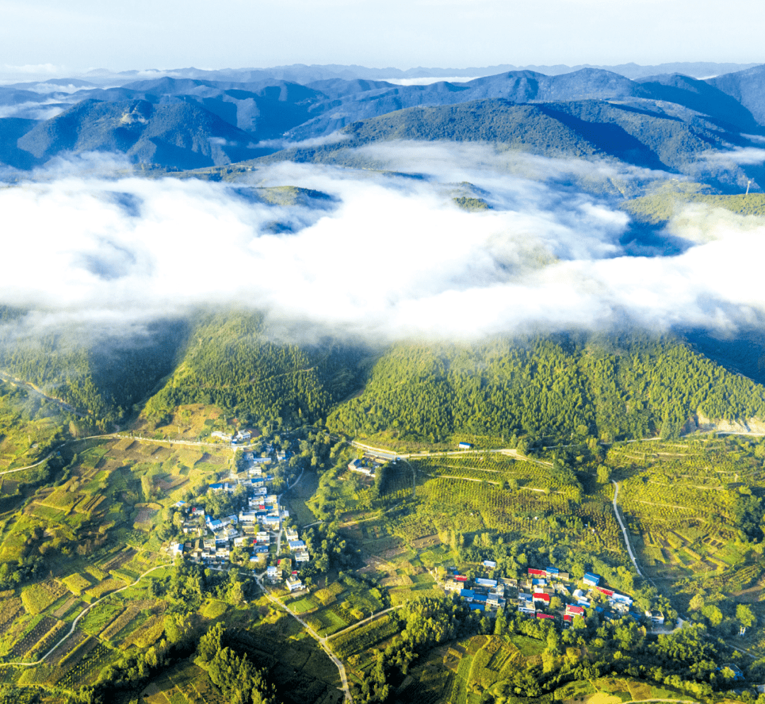 樱桃沟漫山花开最初的记忆~回归田园的生活总能寻找到无论是春夏