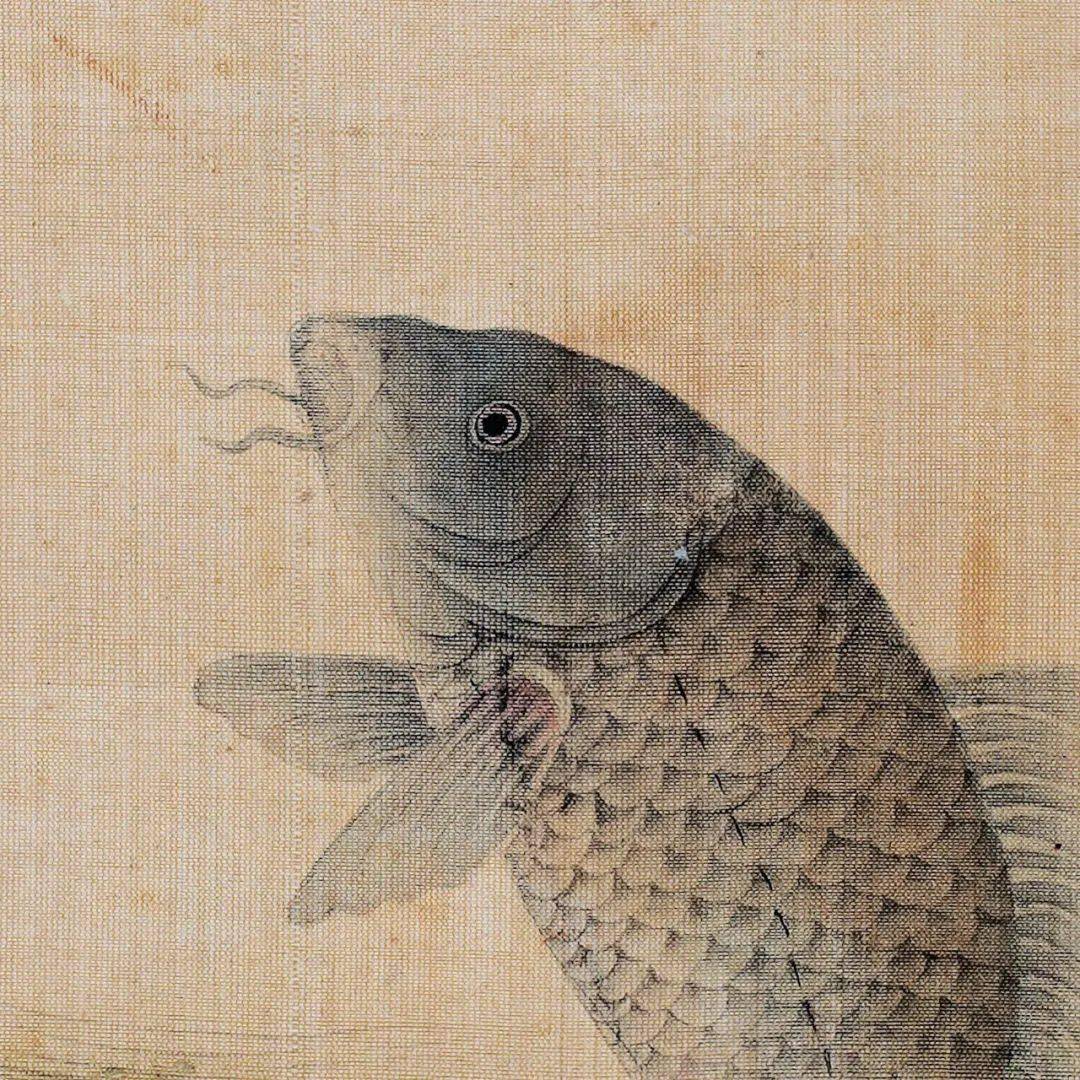 虚谷游鱼清 虚谷 紫綬金章李鱓 有鱼图李鱓 有鱼图李方膺 有