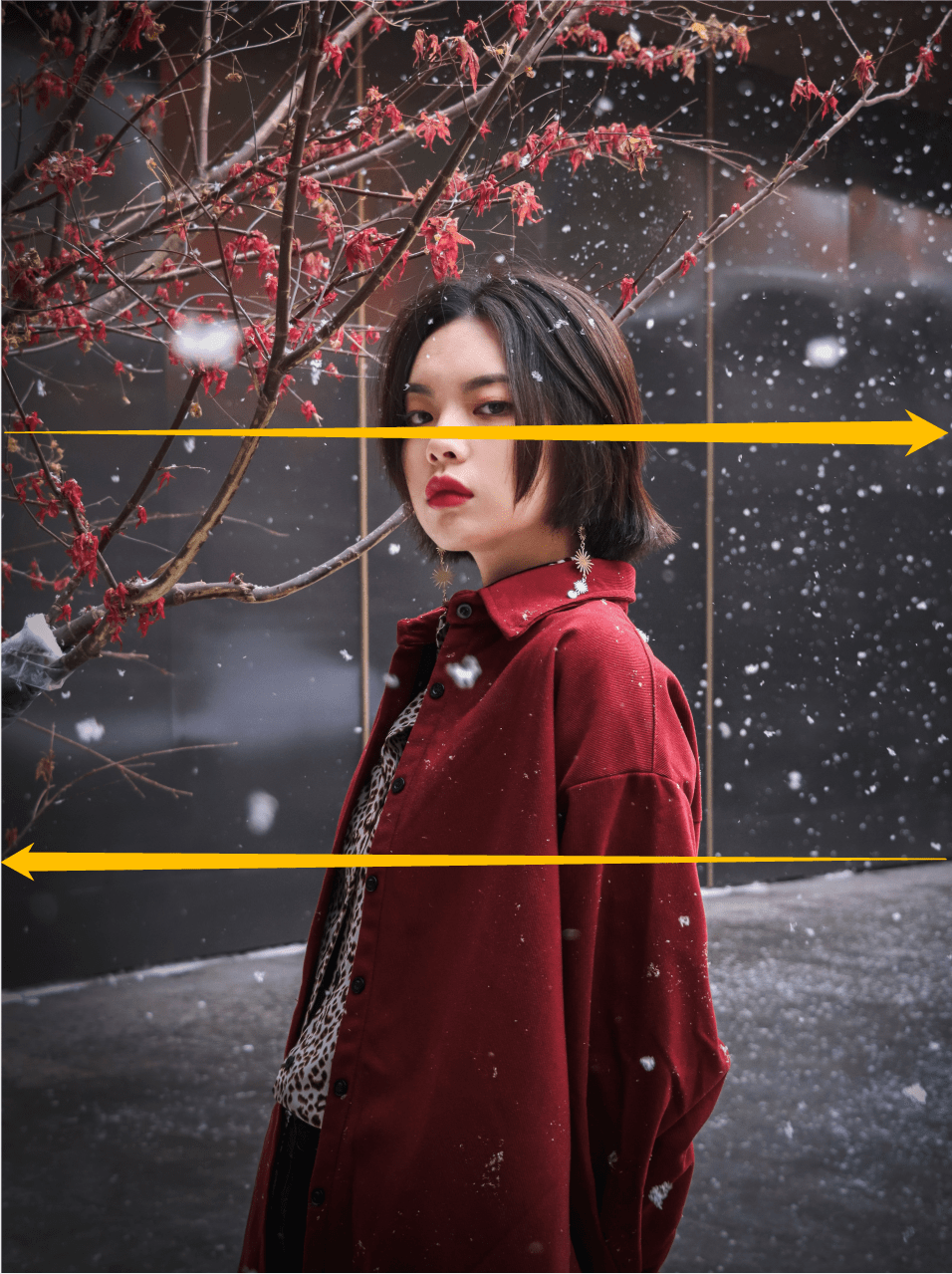 04紧凑式构图紧凑式构图又称满屏法,将主体特写放大,呈现出紧凑,饱满