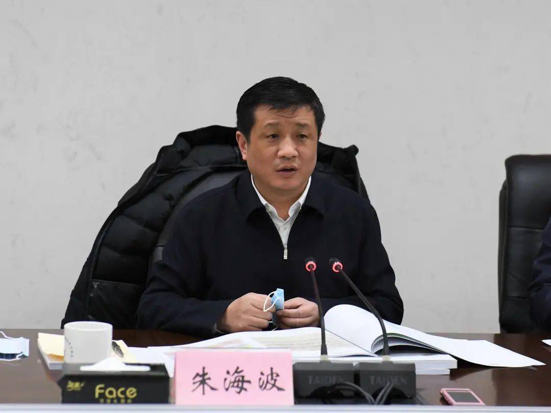 委书记朱海波主持召开南部新城重点项目设计方案汇报会,区领导史卫东