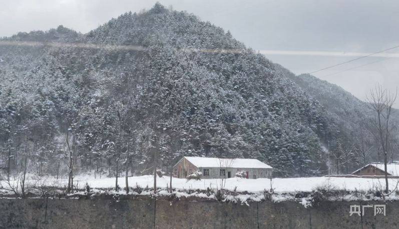 雪景|“云观”雪景｜带您看看雪中秦岭有多美