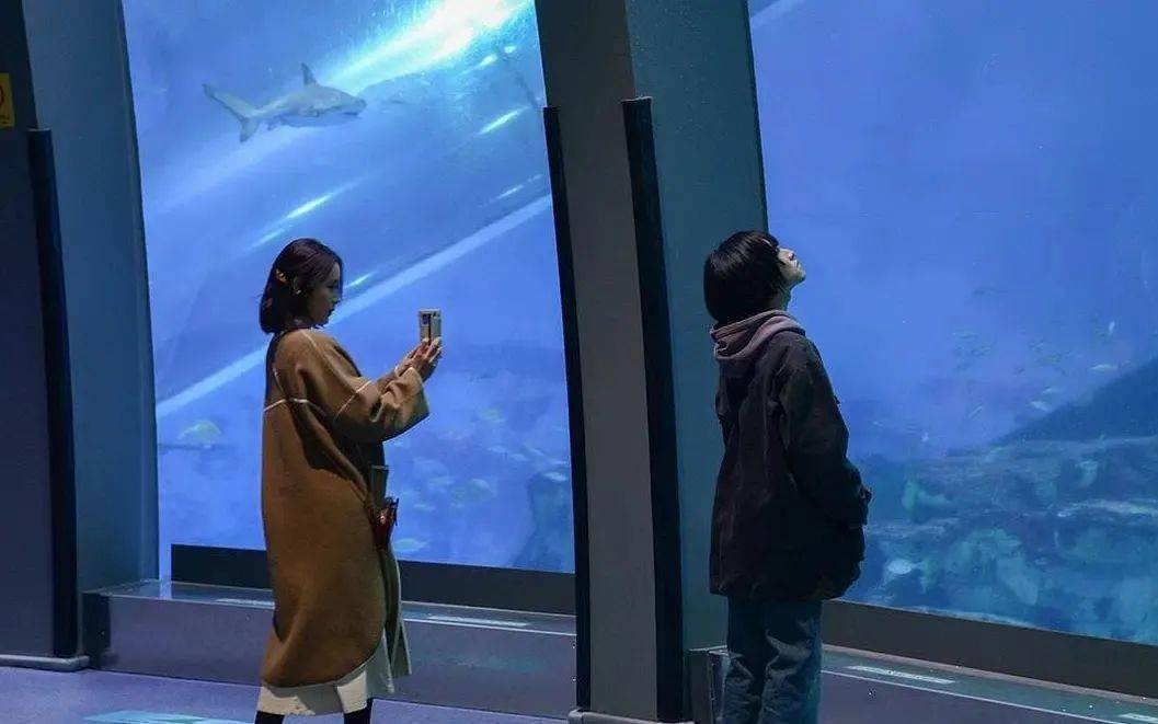 丈夫|姐姐和小奶狗的年下恋，霓虹国太会拍了