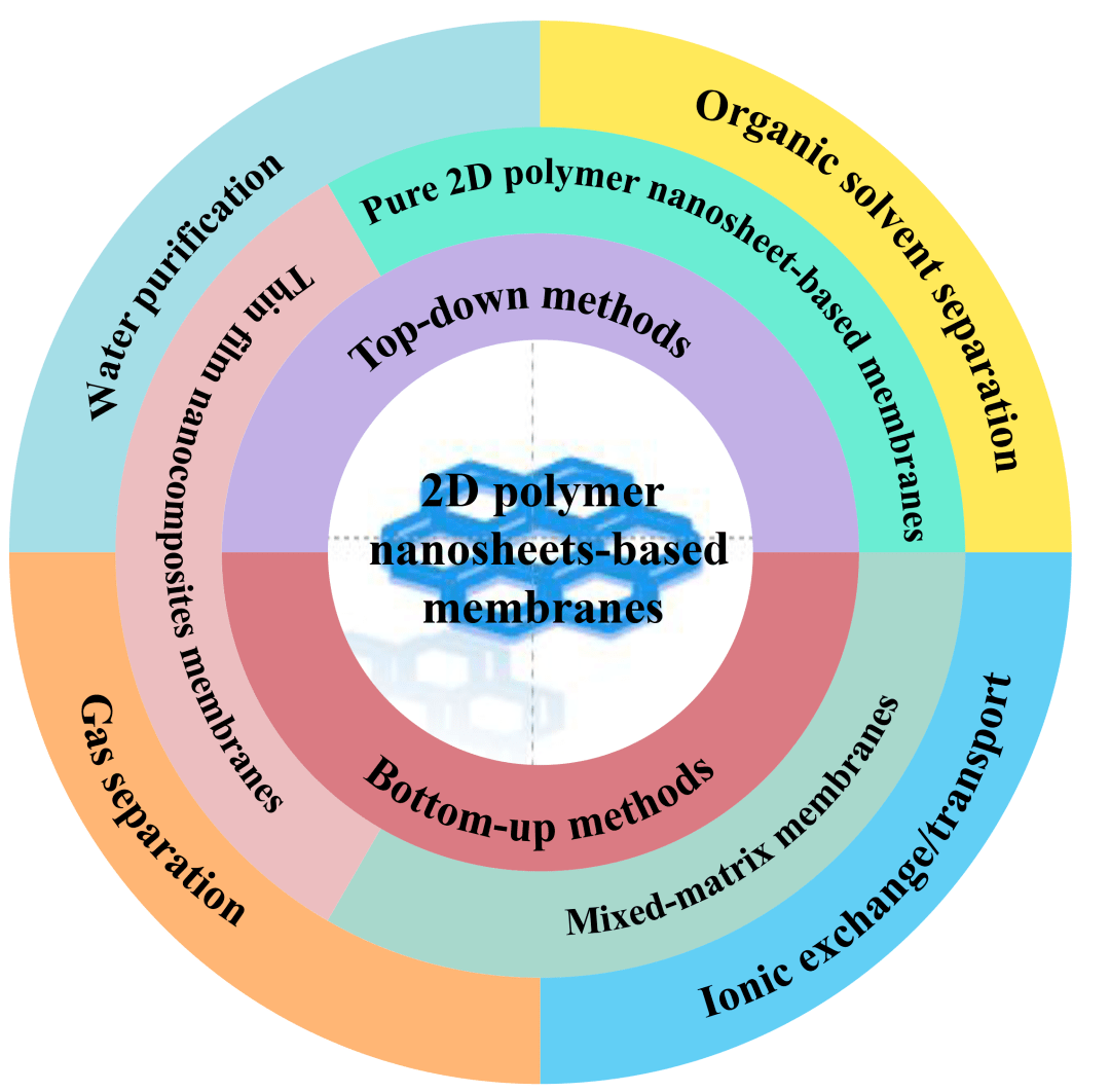 西湖大学徐宇曦团队advancedscience综述二维聚合物纳米片应用于膜