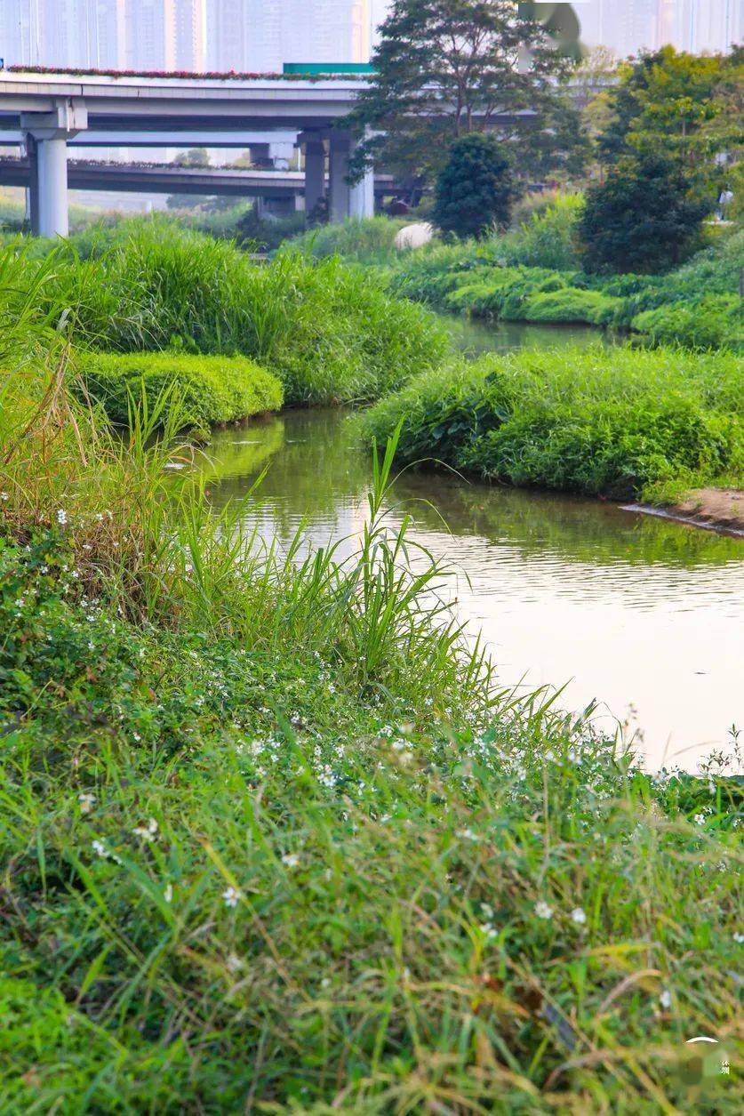 随手拍风景实拍 1d725197934a4c4194cab645383c6e79.jpeg