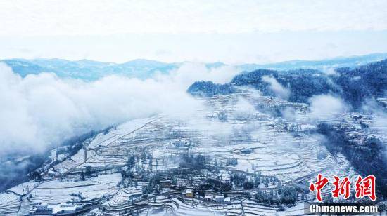 渔洋关镇|雪后湖北五峰茶园宛若童话世界