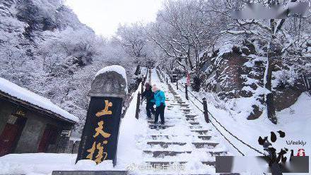 银枝|甘肃平凉：雪压枝头白絮飞 玉树银枝惹人醉