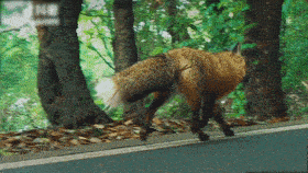 d94698231f2d4ba4b20911a9ad07c5e8.gif