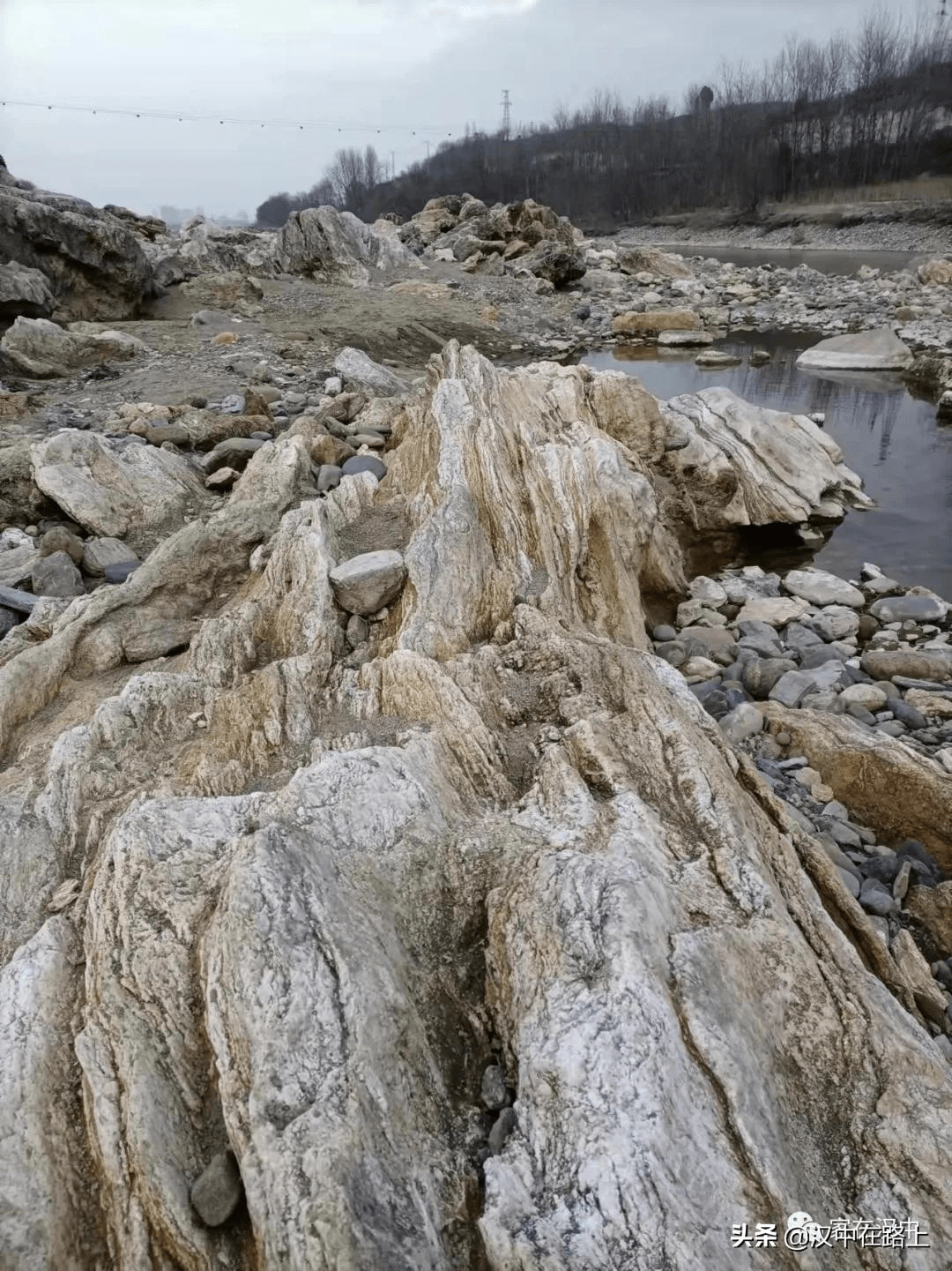 汉中又一河滩露奇观疑似古河床