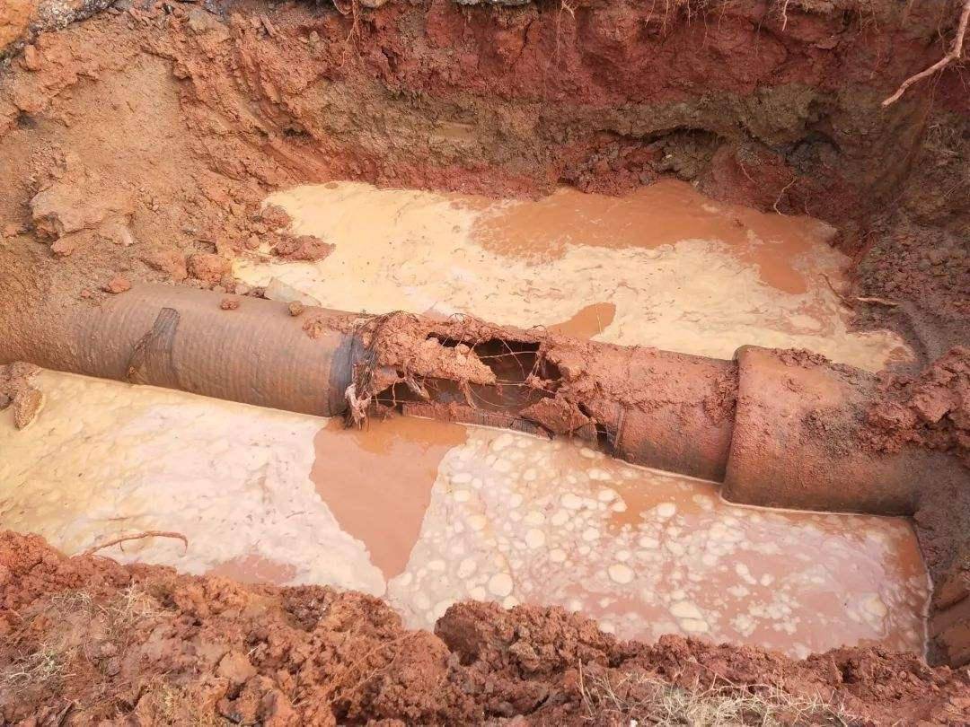 都说自来水二次污染须装净水器这究竟是商家骗局还是真相