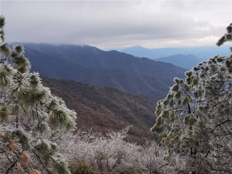 吴勇|桂林尧山银装素裹 喜迎新春第一场雾凇美景