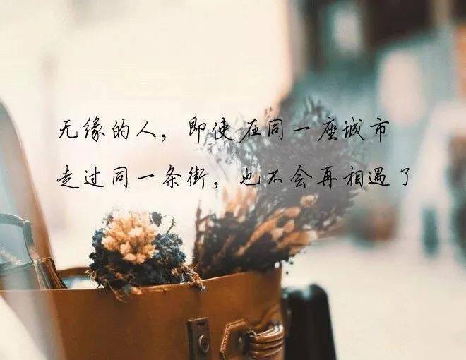 朋友圈今年最流行的句子