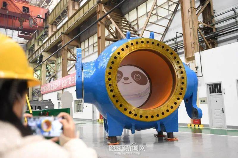 蓄能电站|哈电版“冰墩墩”,隆“重”登场!