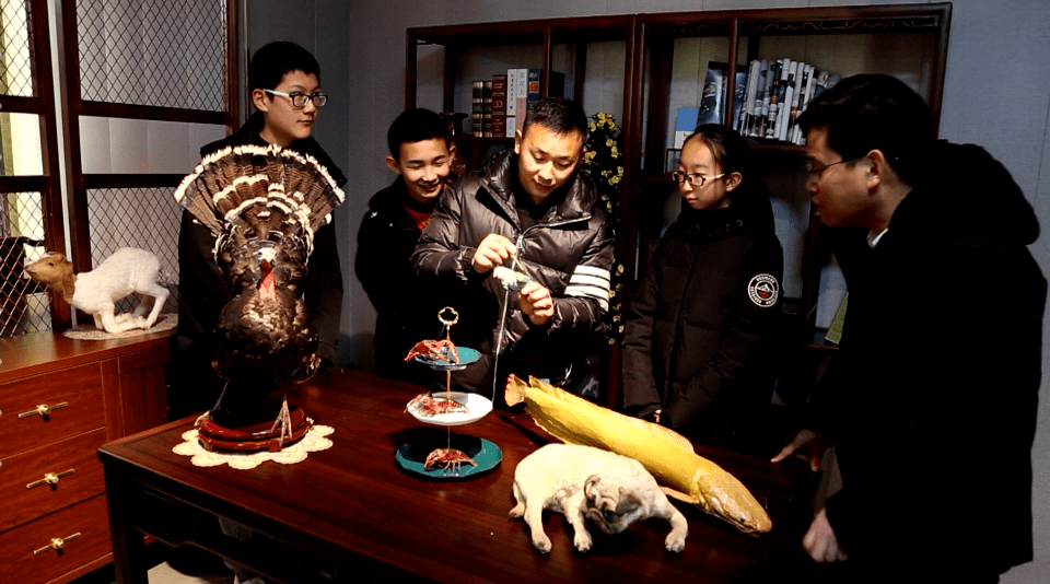 广饶:涨知识开眼界 观看动物标本展览别样过寒假_董涛_冰河世纪_火鸡