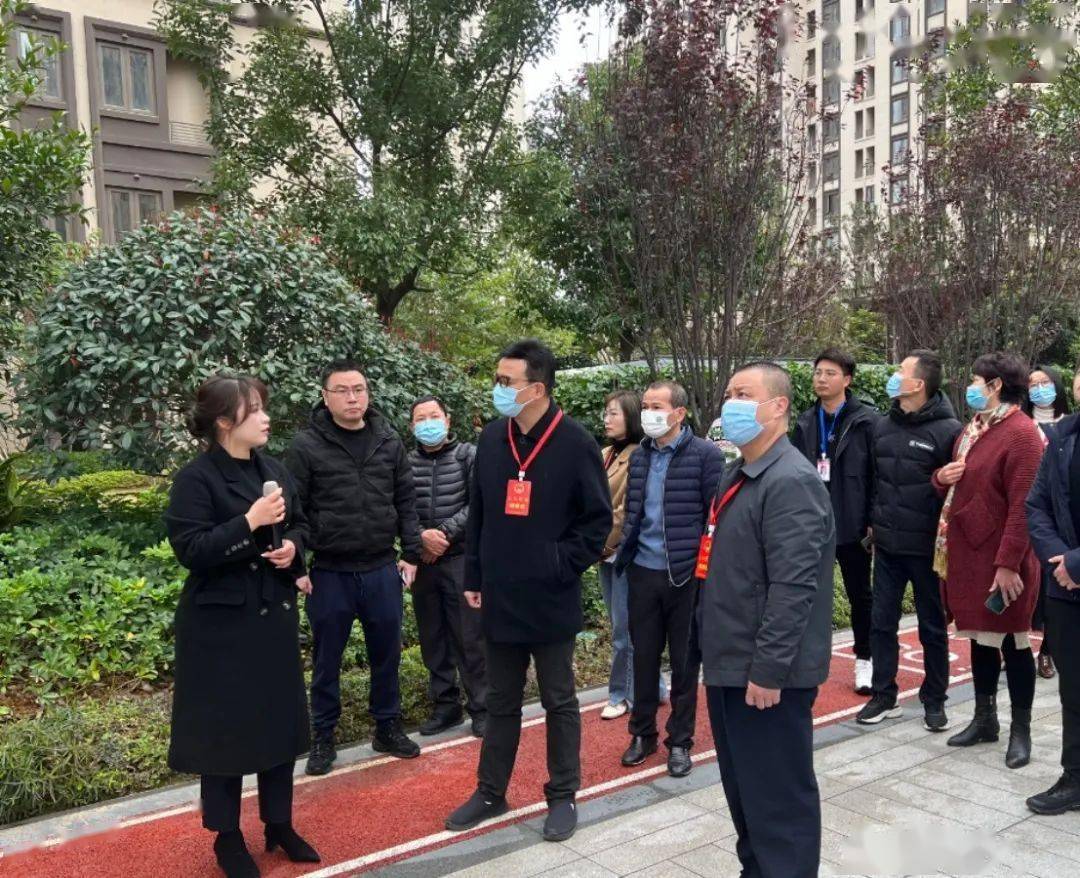 执法检查实地视察活动_相关_龙山街道_社区