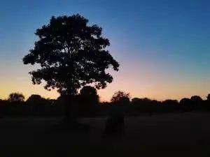 a86b1b4ebf2641658550ae7672fb3c94.jpeg