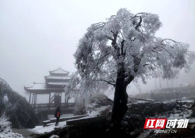 瑶山|邵阳新宁：瑶山冰雪交融 云海曼妙绝美