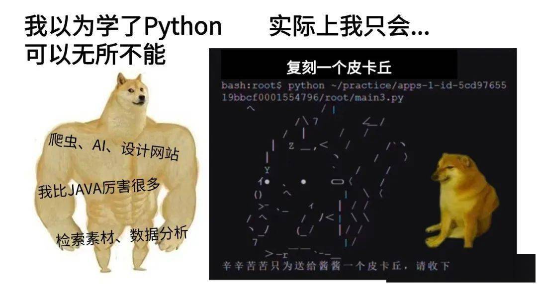 仅剩2名 进top 30理工校必备 卡梅cs导师带你学python 专业 编程 课程