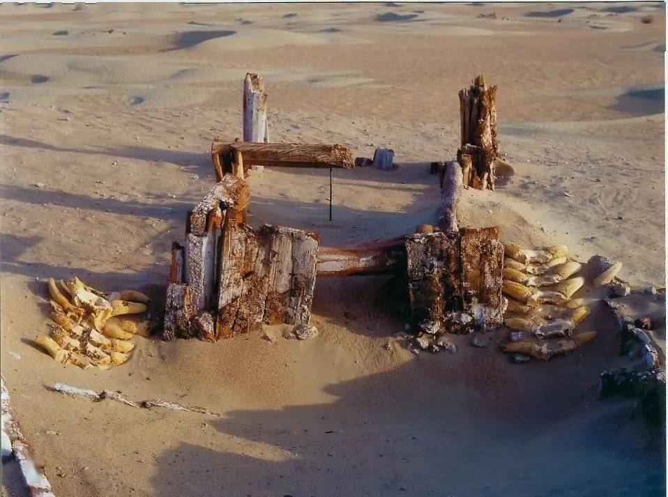 全国十大考古新发现新疆篇——若羌罗布泊小河墓地