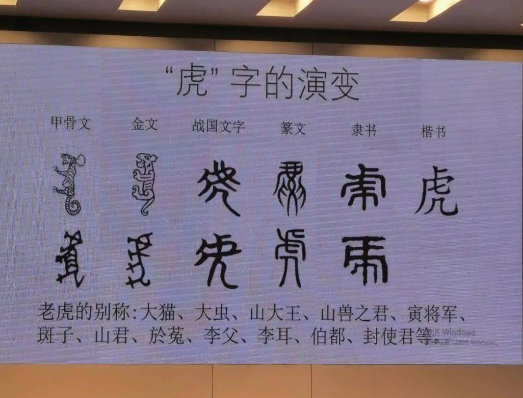 虎的演变过程文字图片图片