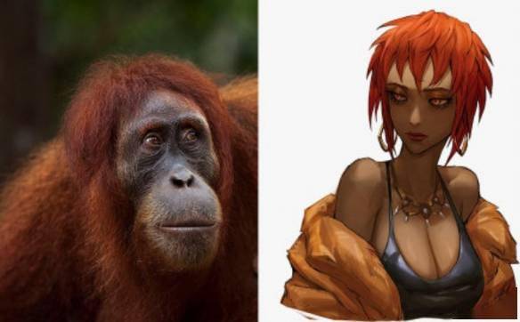 冷门动物拟人这么不萌的品种都可以的吗