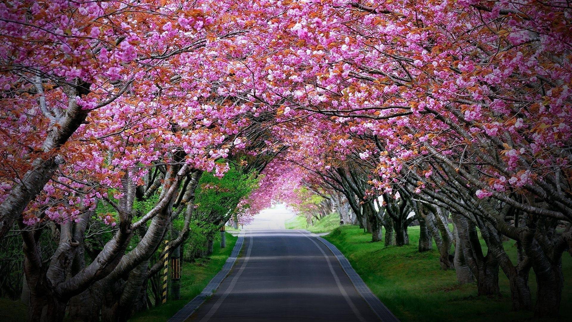 都让人_走过_小路